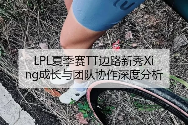 LPL夏季赛TT边路新秀Xing成长与团队协作深度分析